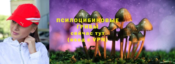 герыч Белокуриха