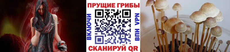 Галлюциногенные грибы прущие грибы  мега как зайти  Мостовской 